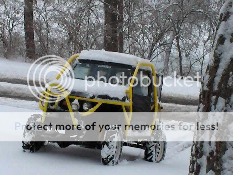 SnowyFlipper001.jpg