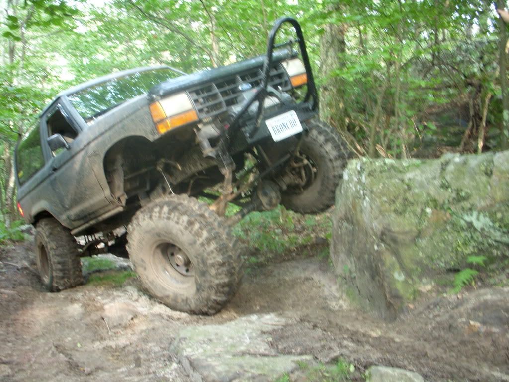 Picture009.jpg