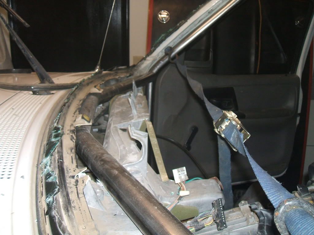 cageday5004.jpg