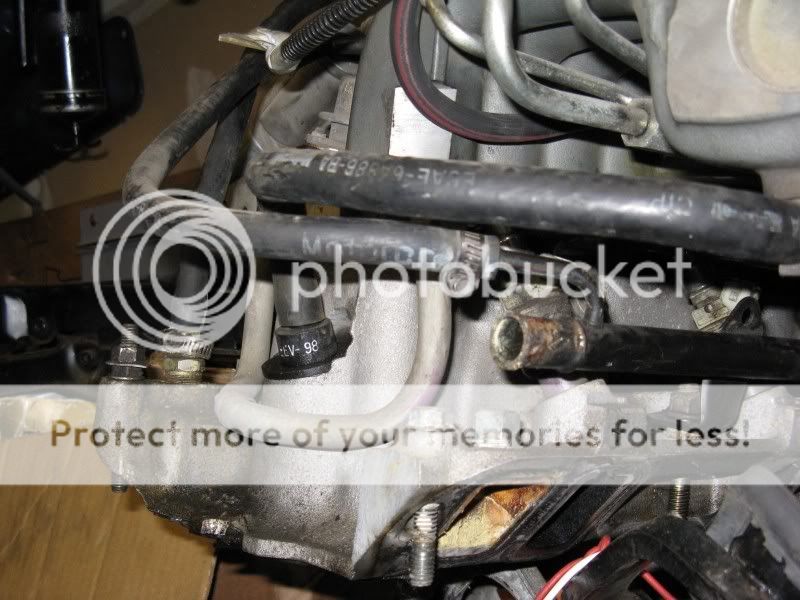 Throw me a flippin' bone here!