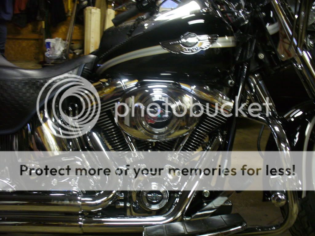 Picture007.jpg
