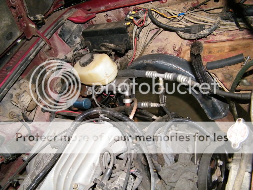 DSCF5517.jpg