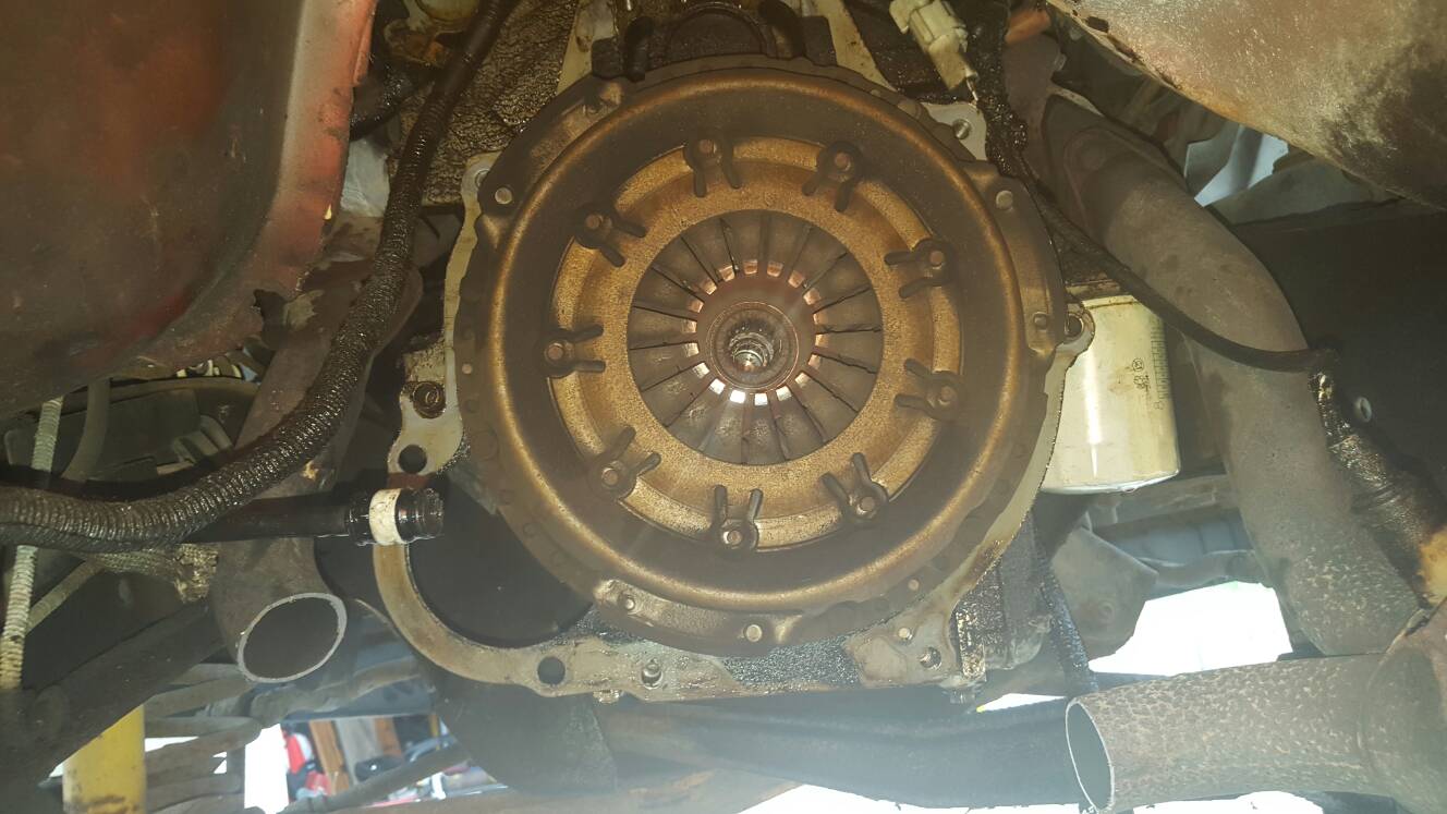 1e874fc87d2db170578256326e67521c.jpg