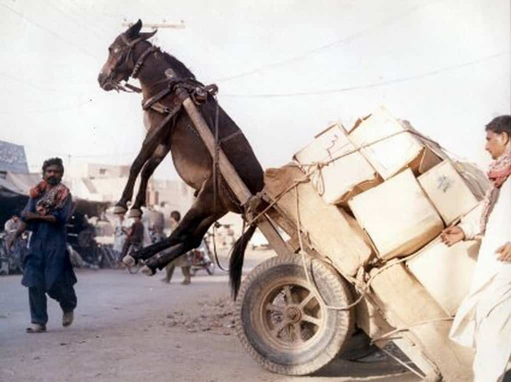 Have You Seen…Most Overloaded Vehicles Imaginable (15 pics)