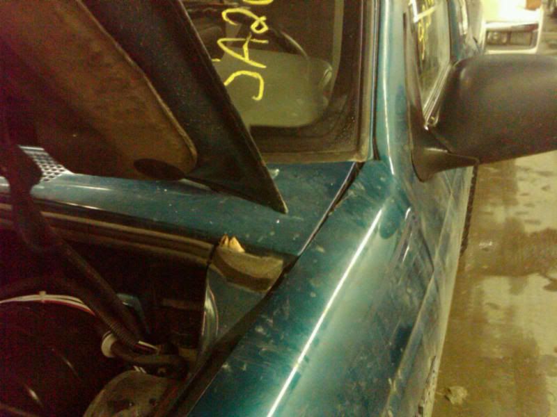 IMG00536-20101130-1726.jpg