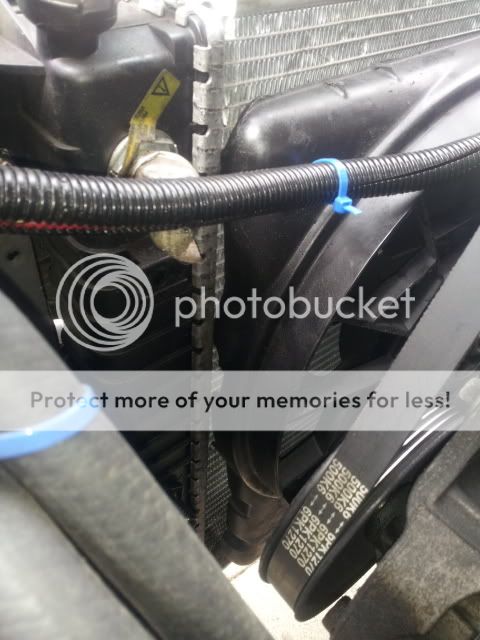 20130903_125042.jpg