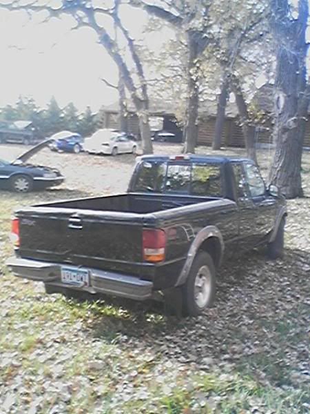 imagejpeg955.jpg