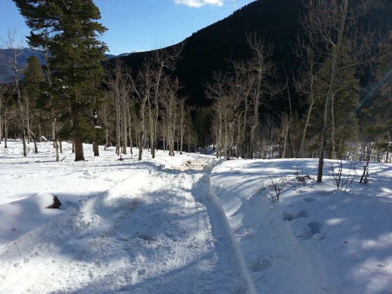 20130310_173115_zps57d8e25a.jpg