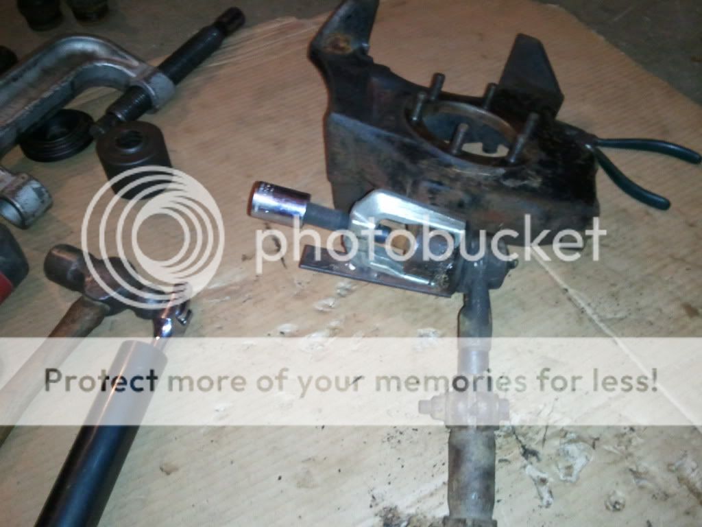 2011-02-02190934.jpg