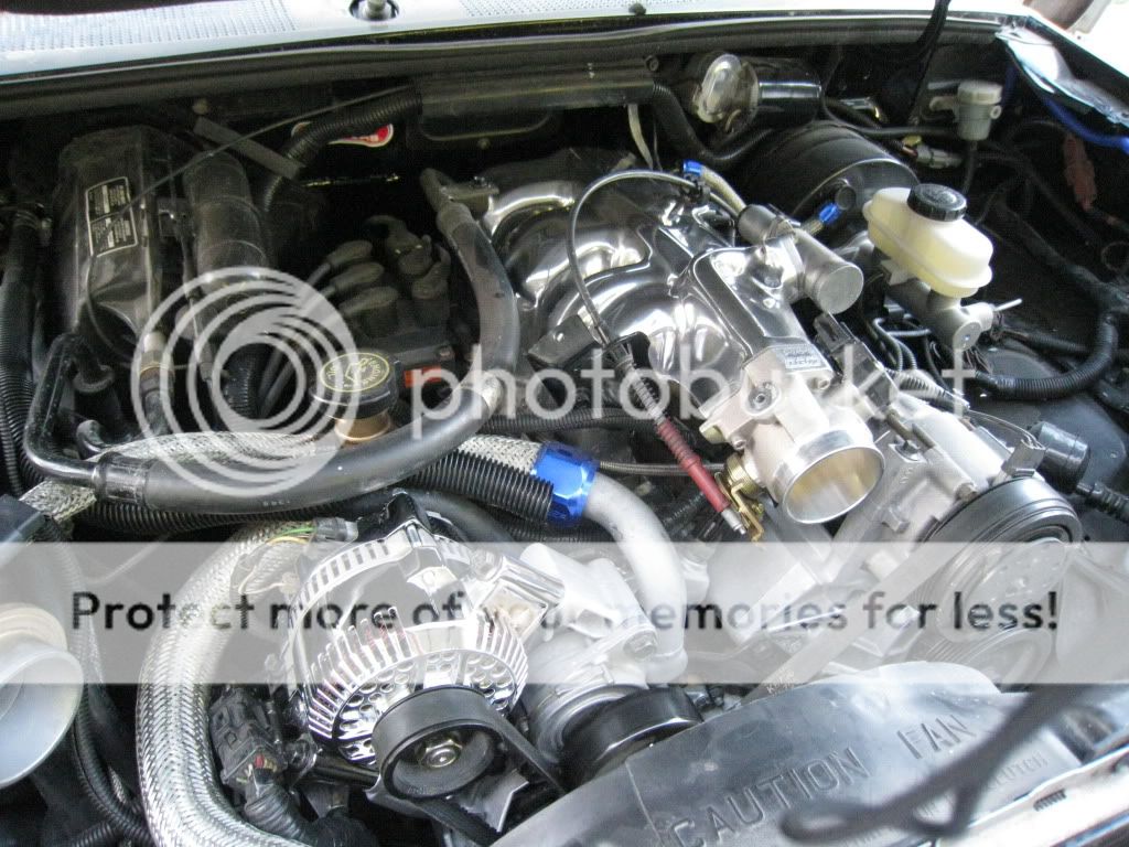 Picture040.jpg