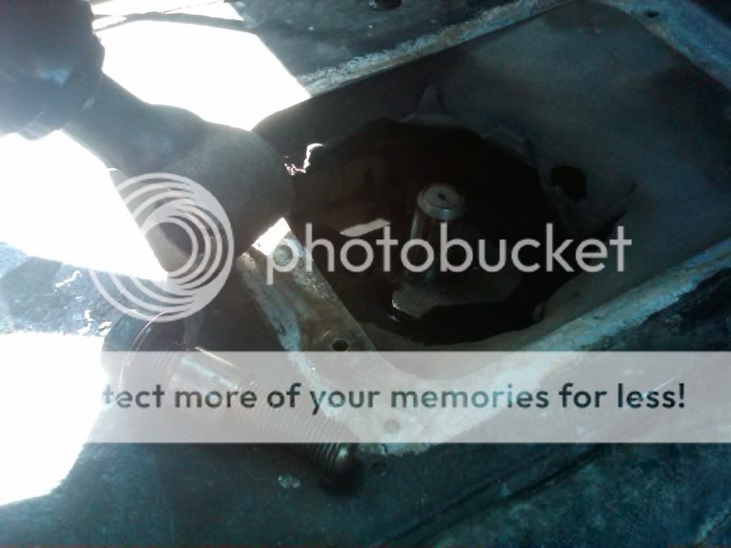 IMG00848-20110514-1004.jpg