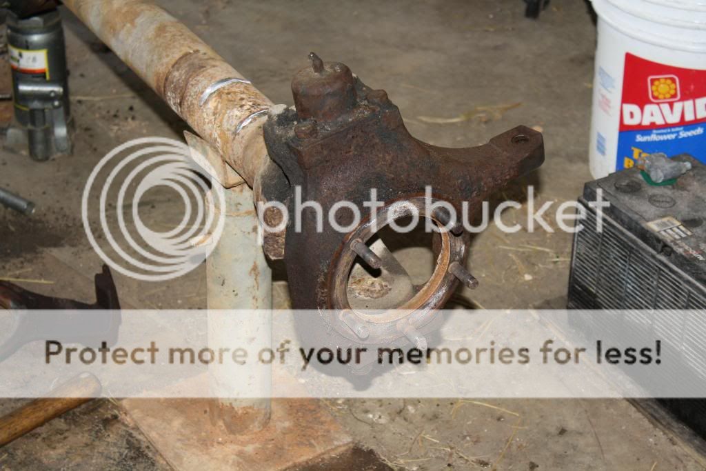 IMG_4661.jpg