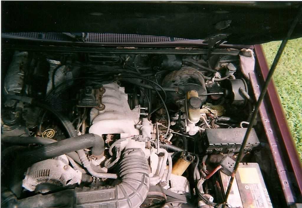 scan0037.jpg