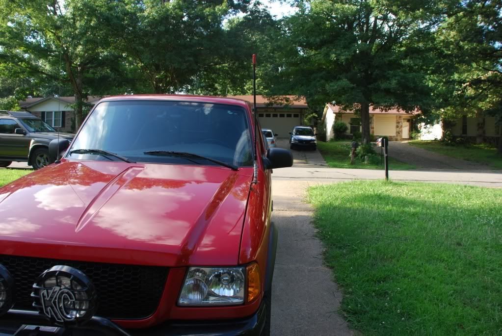 DSC_0238.jpg