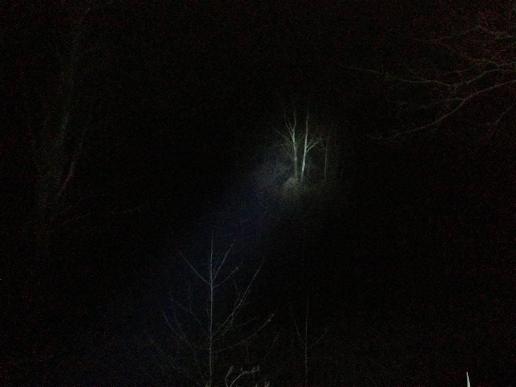 IMG_0078_zpse9c50647.jpg