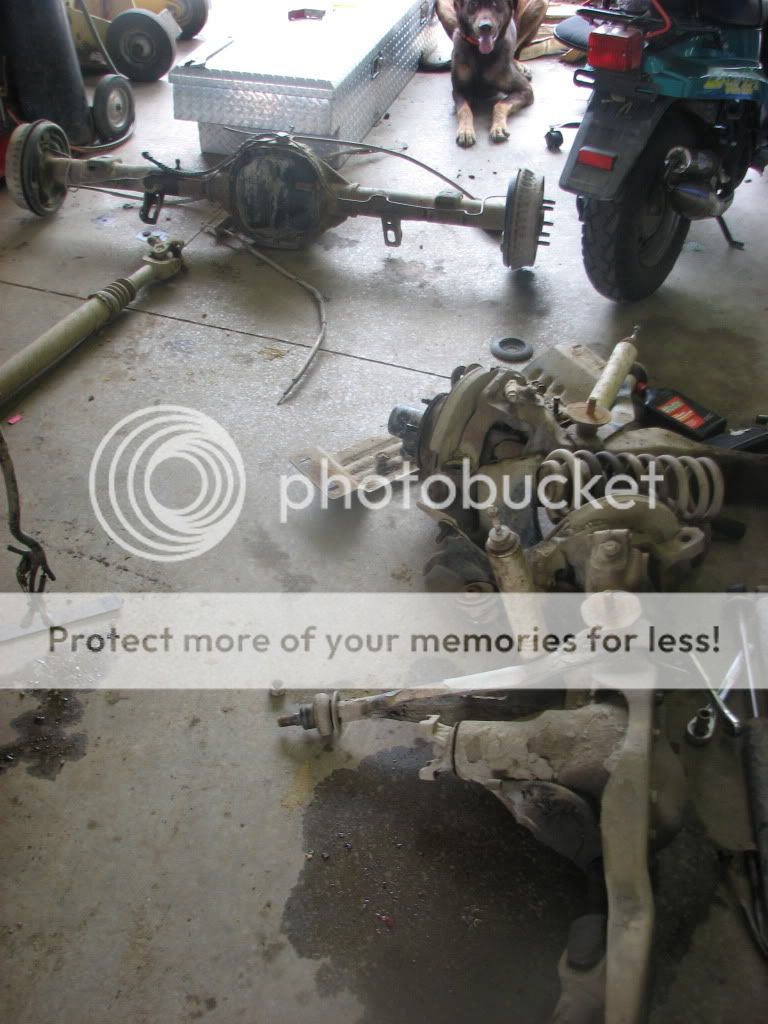 IMG_1651.jpg
