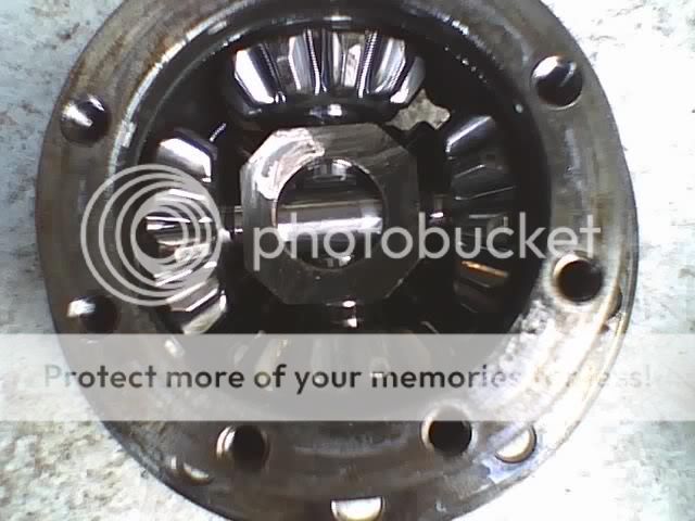 1206935441.jpg