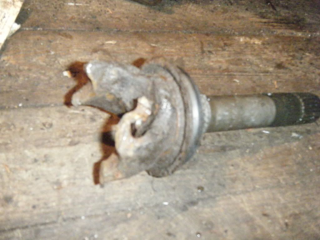 DSCF0146.jpg