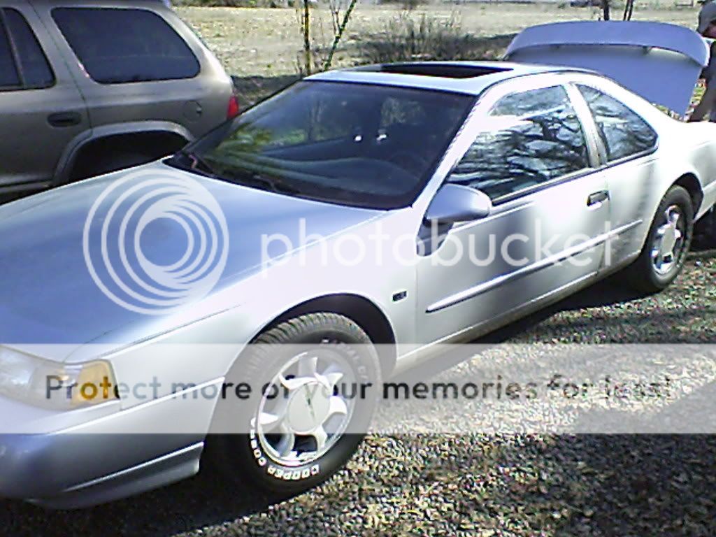 fish039.jpg