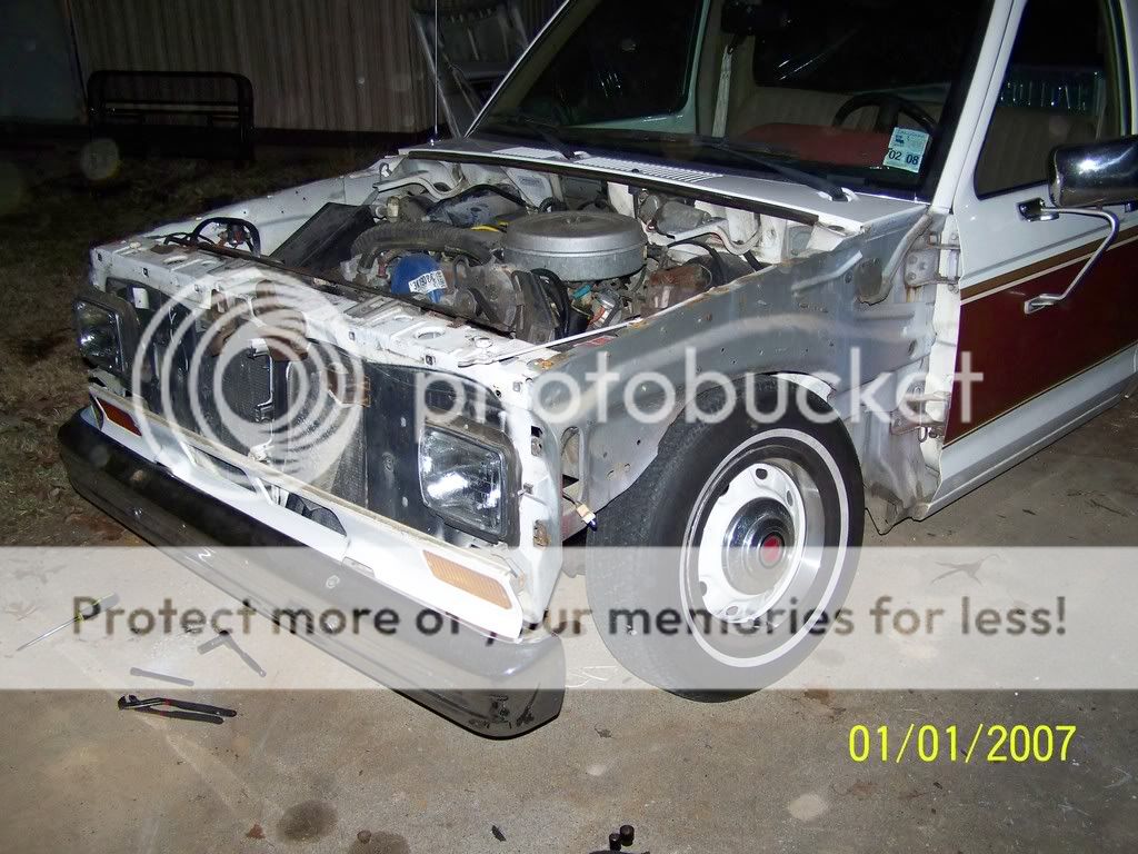 302035.jpg