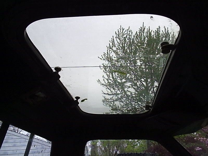 P1010046.jpg