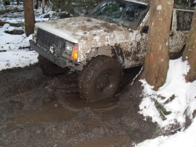 SDC11538.jpg