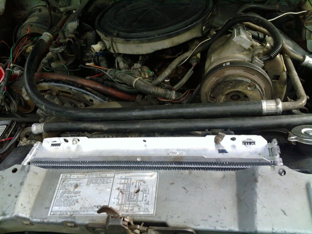 2010-04-01174151.jpg