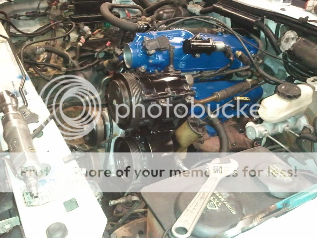 2011-06-11232617.jpg