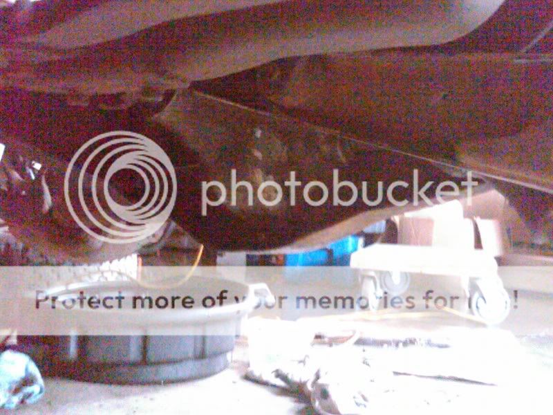 IMG00756-20110402-1620.jpg