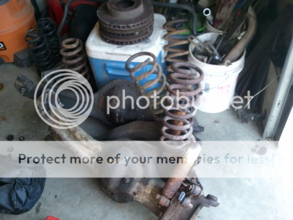 2011-01-29160519.jpg