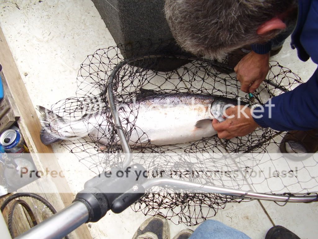 fish016.jpg
