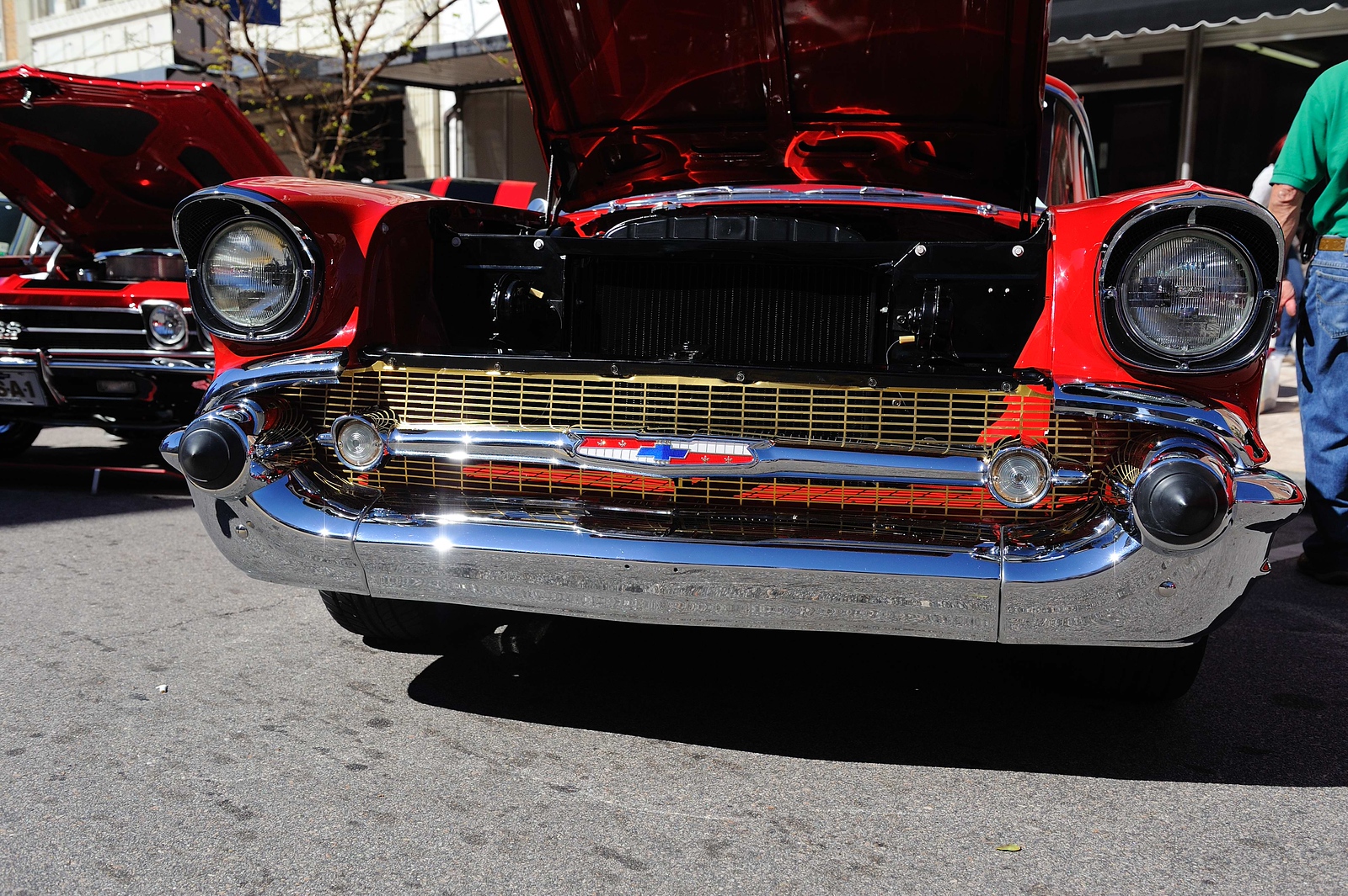 DSC0204-X3.jpg
