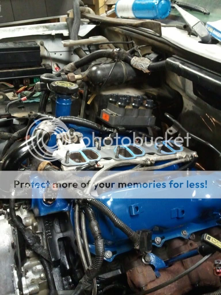 2011-06-09205027.jpg