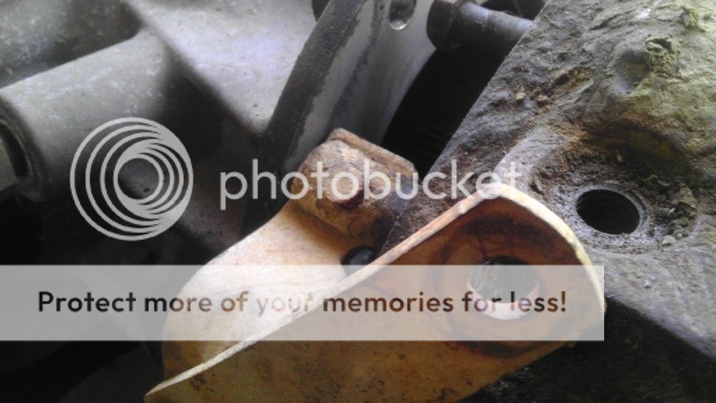 IMAG0771_zpsb0ebcc4a.jpg