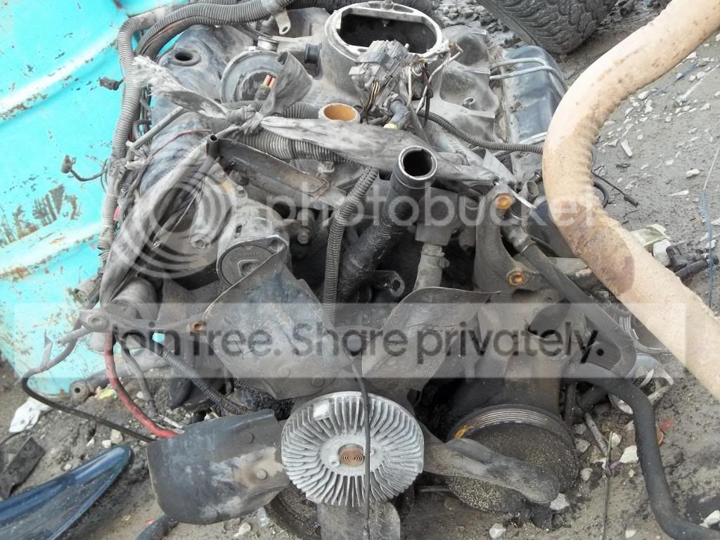Help for buy a diesel engine