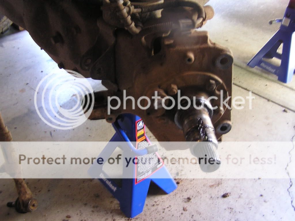 P1010106-1.jpg