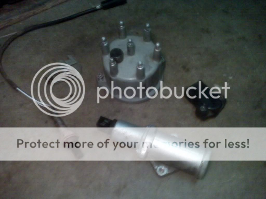IMG00218.jpg