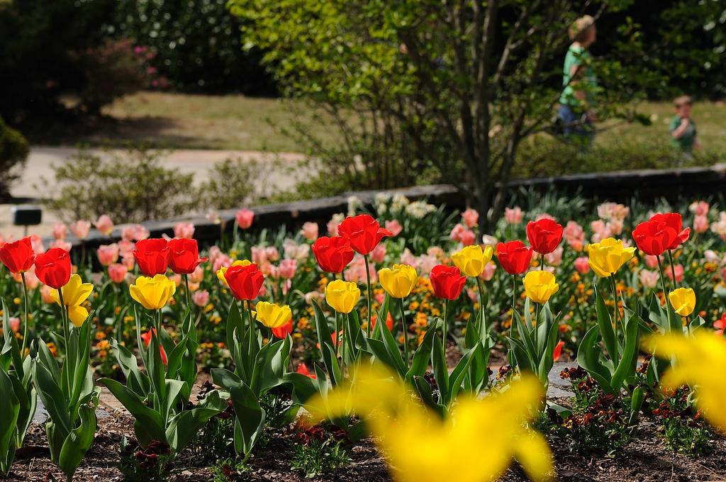 Duke Gardens - April 5, 2009