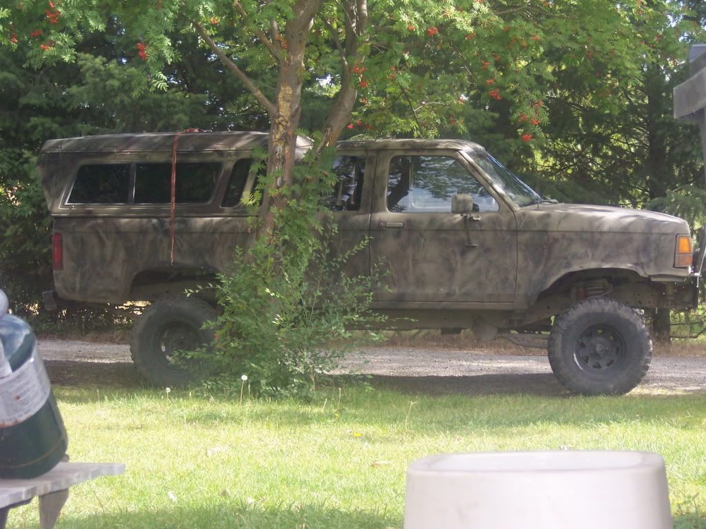 273.jpg
