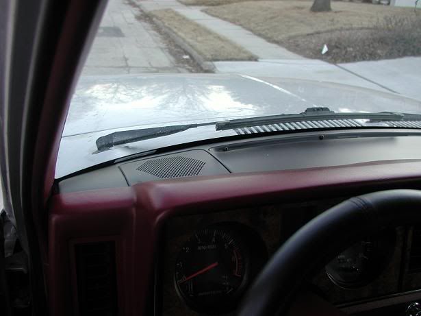 P1010024-1.jpg