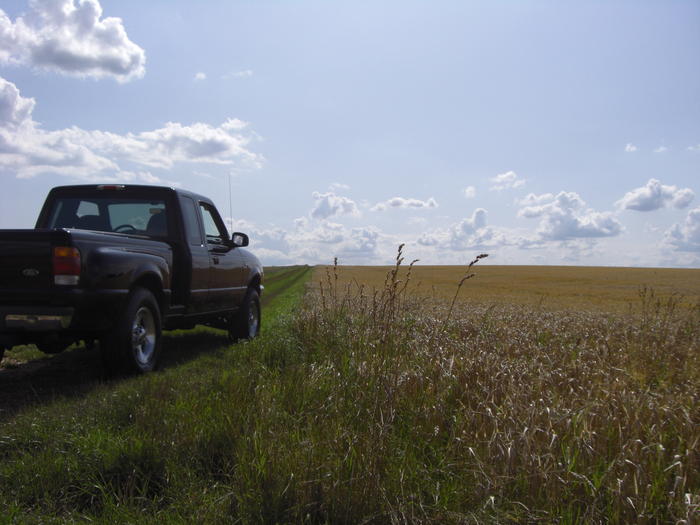 99 Ford Ranger XLT 4x4