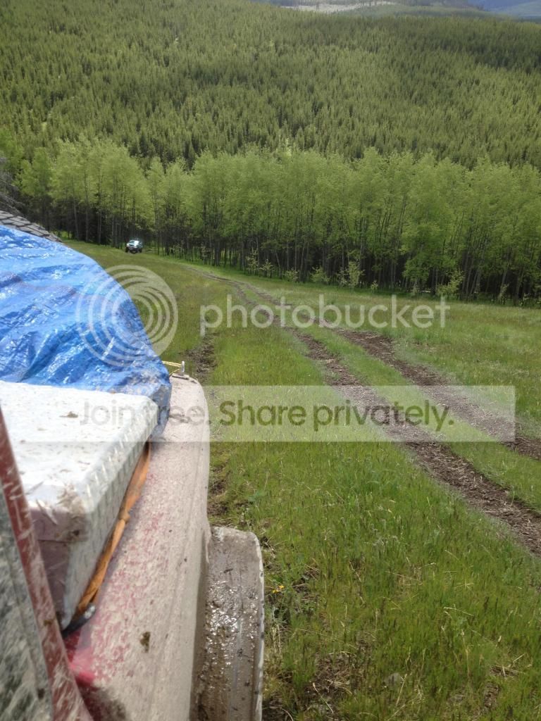 hockeyryans ranger build