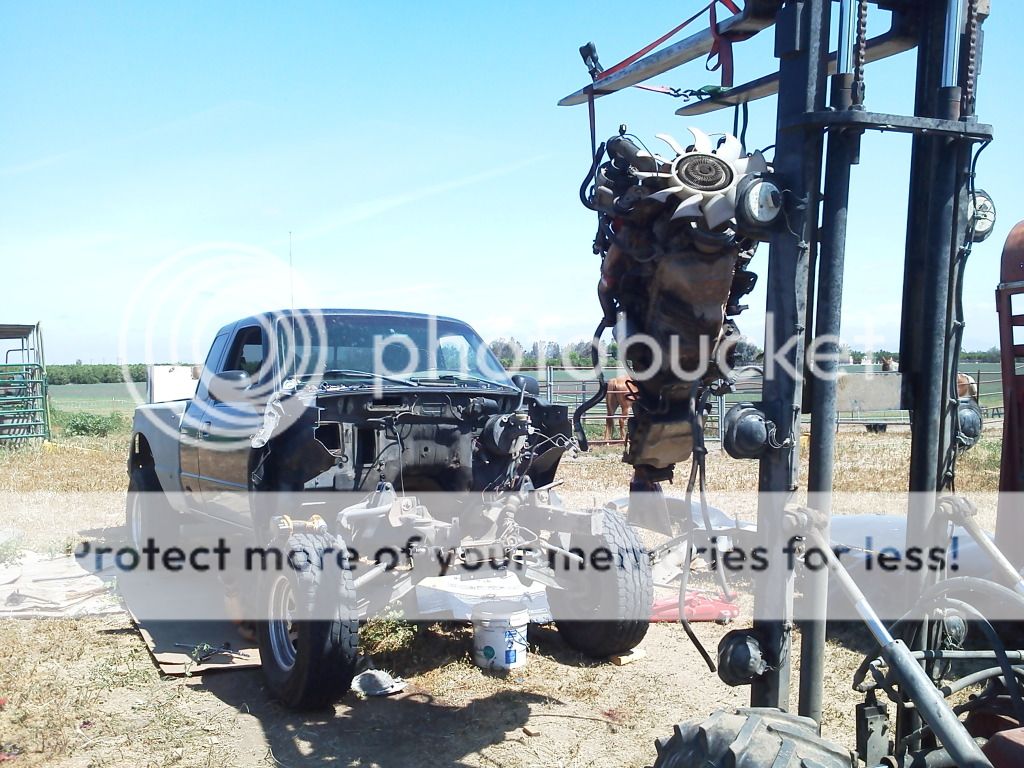 IMG_20130406_115107_zps1034463a.jpg