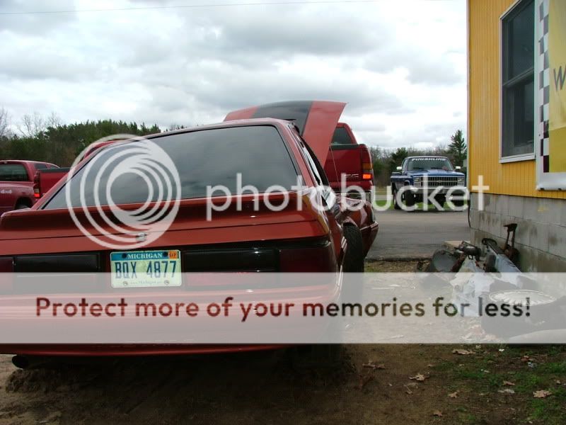 mustang038.jpg