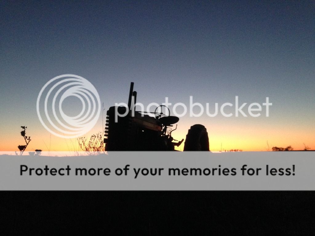 IMG_3411_zpsqjrbsxc0.jpg