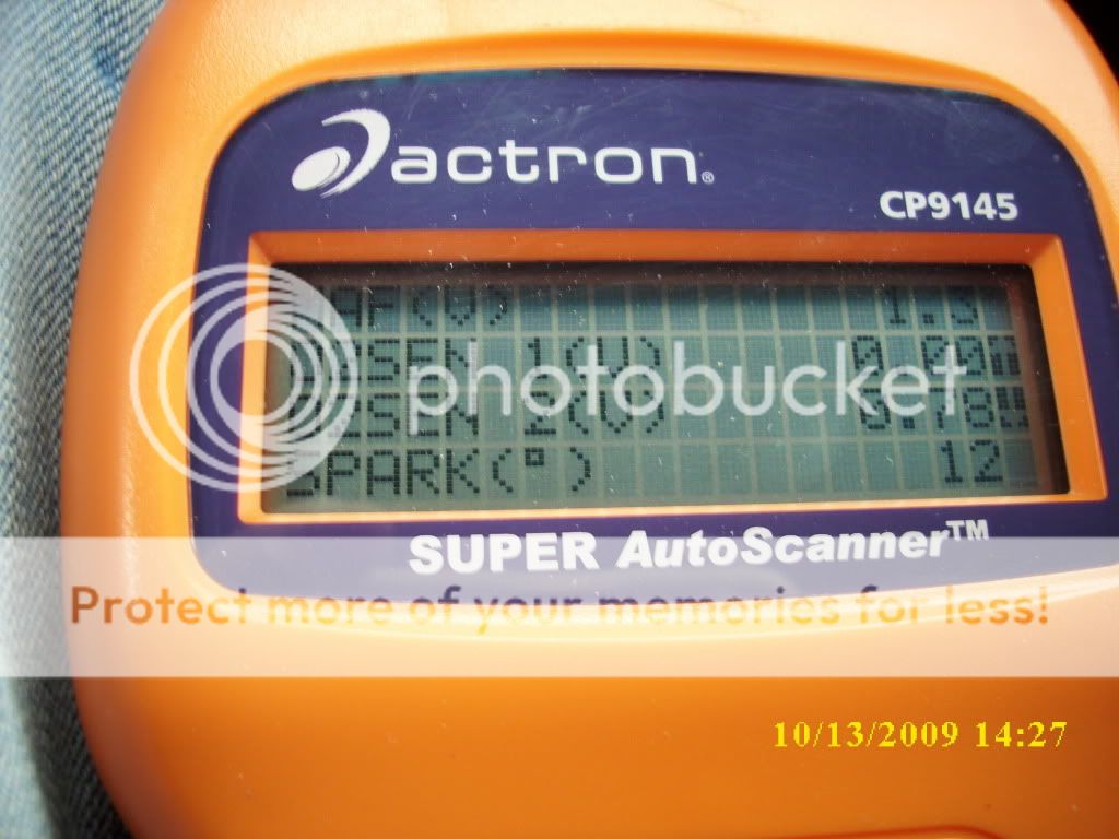 DSCI0237.jpg