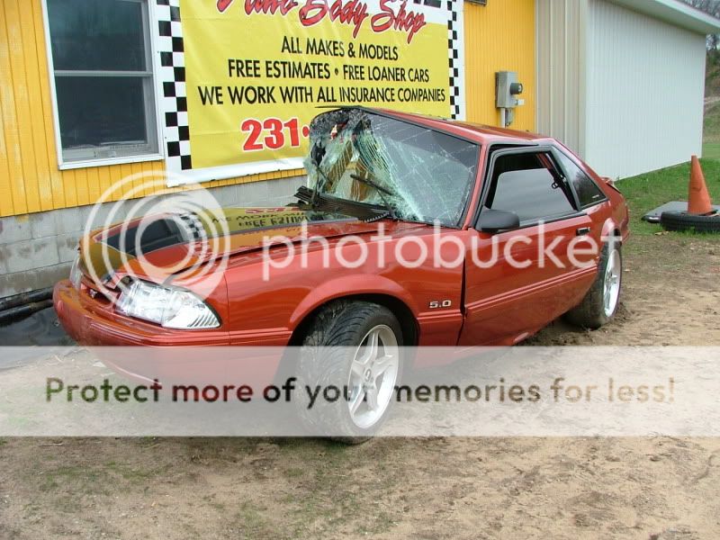mustang046.jpg