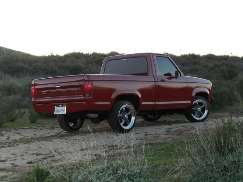 SDC11479.jpg