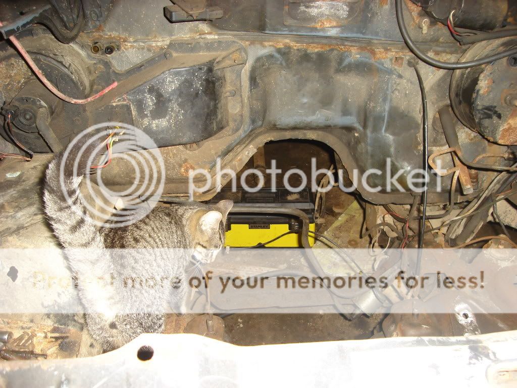 ranger2003.jpg