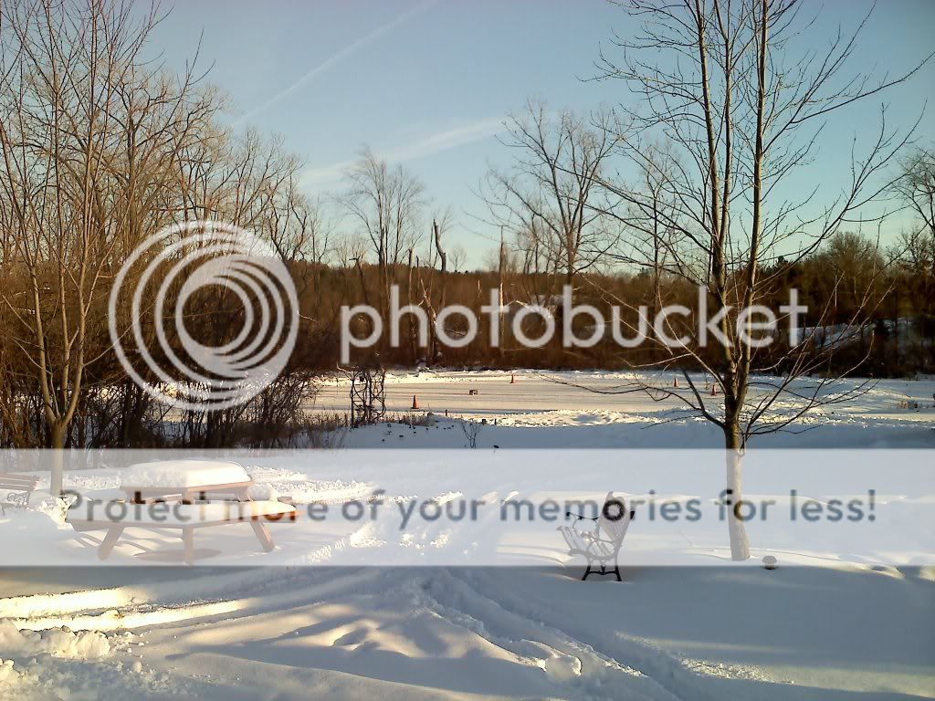 20110130164635.jpg